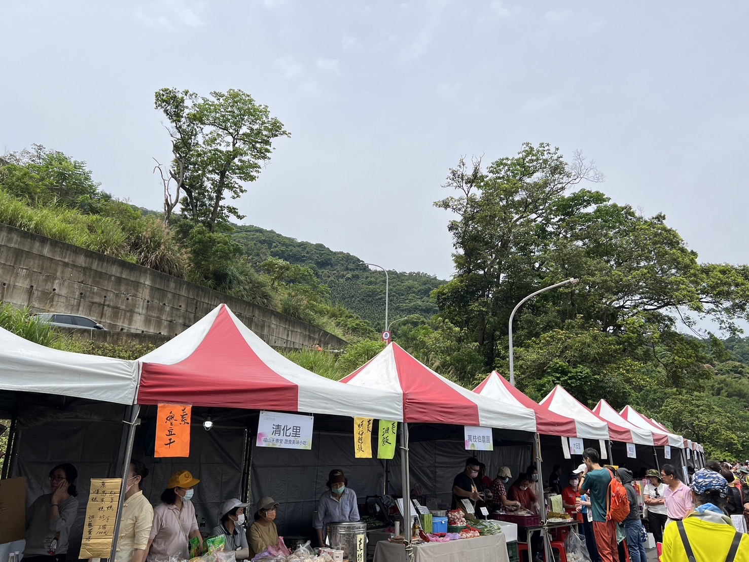 🌸2024年土城桐花祭🌸 元復桐歡 健康促進活動🍀